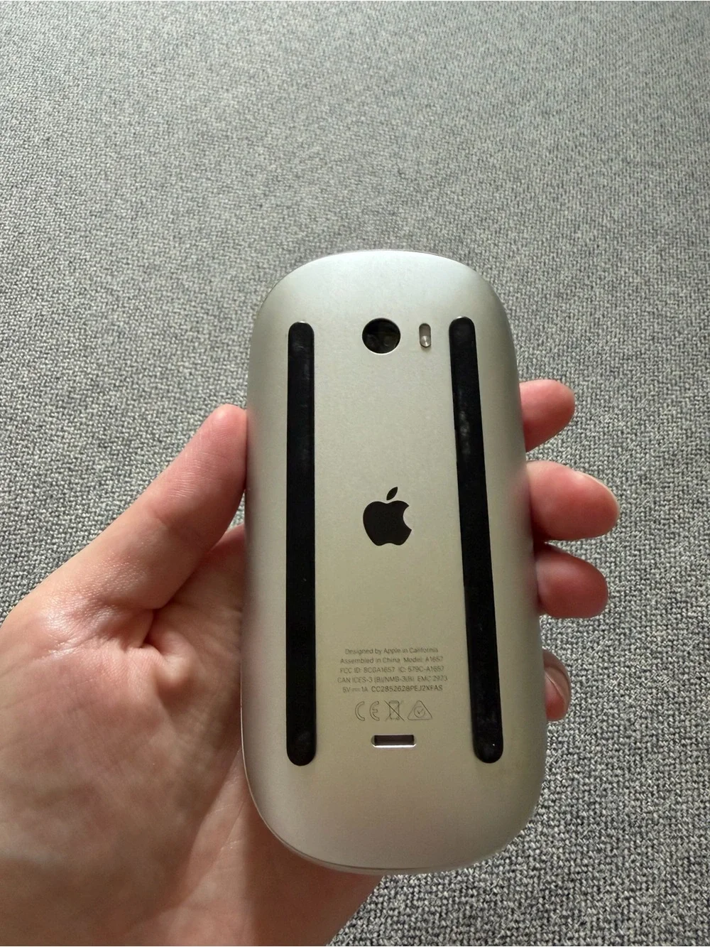 Apple Magic Mouse — Silver with Black Accents